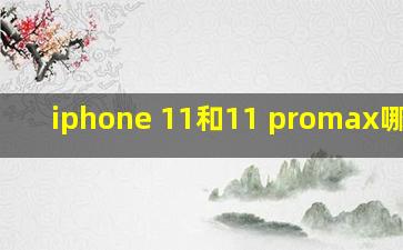 iphone 11和11 promax哪个好